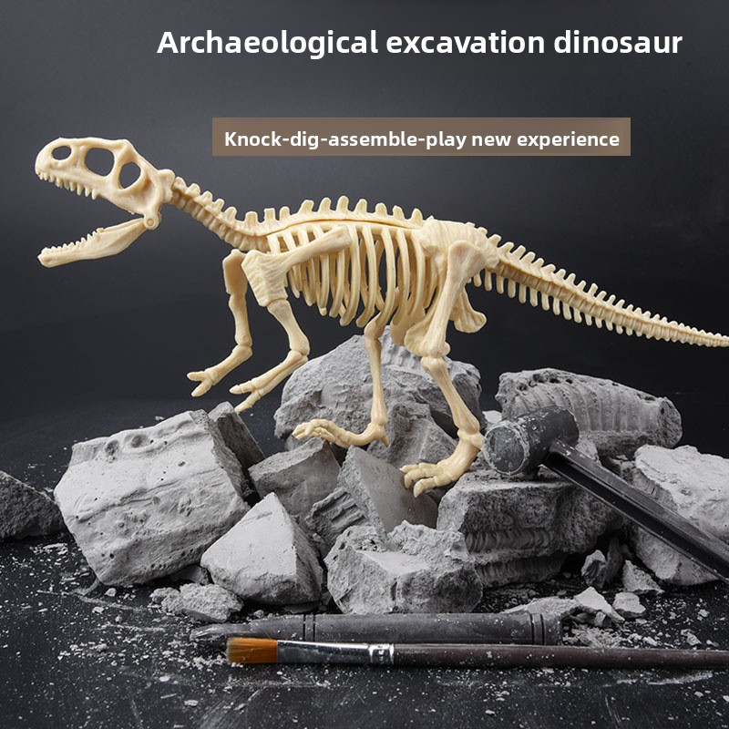 Kit de Excavación de Fósiles d - Science Toy reseña y precio